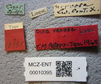 Media type: image;   Entomology 10395 Aspect: labels